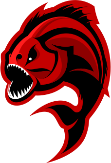 Piraya Webdesign - Design- & webbyrå i Halmstad